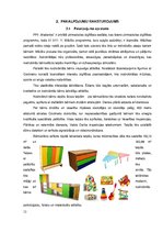 Biznesa plāns 'Biznesa plāns "Madara 16"', 12.