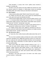 Biznesa plāns 'Biznesa plāns "Madara 16"', 22.