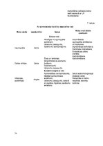 Biznesa plāns 'Biznesa plāns "Madara 16"', 34.