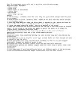 Konspekts 'Onions in Focus', 1.