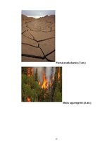 Referāts 'Globālā sasilšana', 17.