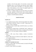 Referāts 'Izvarošanas kvalifikācijas problēmjautājumi', 17.