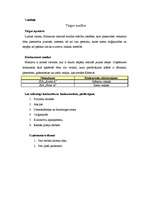 Biznesa plāns 'IK "Ideja" - oriģinālu dāvanu veikals', 5.