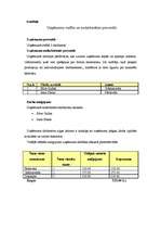 Biznesa plāns 'IK "Ideja" - oriģinālu dāvanu veikals', 8.