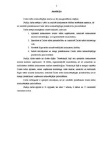 Referāts 'Dailes teātra konkurētspējas analīze un tās paaugstināšanas iespējas', 3.