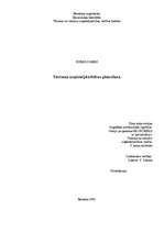 Biznesa plāns 'Tūrisma uzņēmējdarbības plānošana', 1.