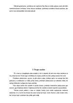 Biznesa plāns 'Tūrisma uzņēmējdarbības plānošana', 11.