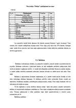 Biznesa plāns 'Tūrisma uzņēmējdarbības plānošana', 16.