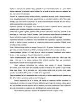 Biznesa plāns 'Tūrisma uzņēmējdarbības plānošana', 19.