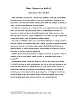 Referāts 'Ingas Ābeles stāstu krājuma "Kamenes un skudras" analīze', 4.