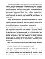 Referāts 'Kultūra', 10.