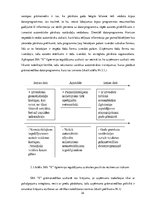 Referāts 'Grāmatvedības uzskaites pilnveide datorvidē namu pārvaldīšanas uzņēmumā', 24.