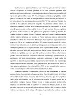 Referāts 'Grāmatvedības uzskaites pilnveide datorvidē namu pārvaldīšanas uzņēmumā', 33.