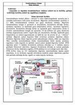 Konspekts 'Mono-Jectronic', 1.