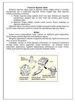 Konspekts 'Mono-Jectronic', 2.