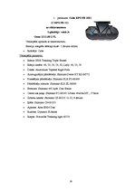 Referāts 'Elektriskie velosipēdi Latvijā', 20.