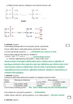 Paraugs 'Dabasvielas', 2.