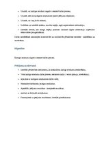 Paraugs 'Kaitīgo ieradumu ietekme uz darba procesu', 4.