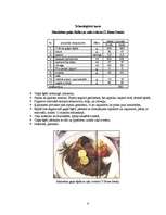 Konspekts 'Steiki', 5.