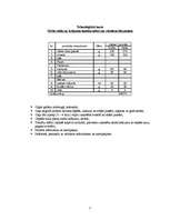 Konspekts 'Steiki', 6.