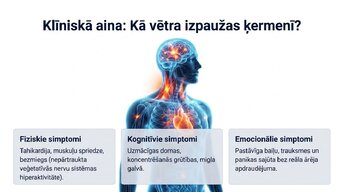 Prezentācija 'Uzbudinājuma un kavēšanas līdzsvars', 10.