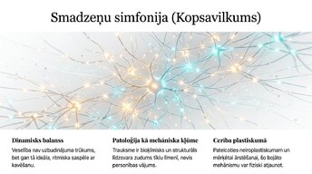 Prezentācija 'Uzbudinājuma un kavēšanas līdzsvars', 13.