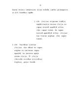 Referāts 'Zīmēšanas procesa attīstība pirmsskolas vecumā', 25.