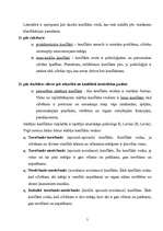 Referāts 'Konflikts', 5.