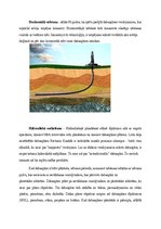 Referāts 'Dabasgāze', 8.