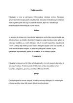 Referāts 'Dabasgāze', 10.