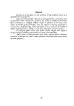 Referāts 'Līguma jēdzieni un to veidi', 36.