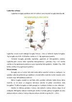 Referāts 'Kartupeļu izmantošanas virzieni. Novākšana un uzglabāšana. Agrotehnika', 5.