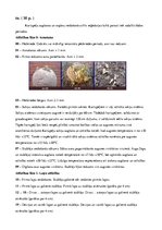 Referāts 'Kartupeļu izmantošanas virzieni. Novākšana un uzglabāšana. Agrotehnika', 16.