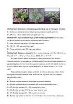 Referāts 'Kartupeļu izmantošanas virzieni. Novākšana un uzglabāšana. Agrotehnika', 17.