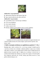 Referāts 'Kartupeļu izmantošanas virzieni. Novākšana un uzglabāšana. Agrotehnika', 19.