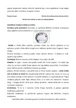 Referāts 'Kartupeļu izmantošanas virzieni. Novākšana un uzglabāšana. Agrotehnika', 38.