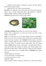 Referāts 'Kartupeļu izmantošanas virzieni. Novākšana un uzglabāšana. Agrotehnika', 39.