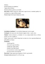 Referāts 'Kartupeļu izmantošanas virzieni. Novākšana un uzglabāšana. Agrotehnika', 40.