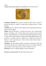 Referāts 'Kartupeļu izmantošanas virzieni. Novākšana un uzglabāšana. Agrotehnika', 43.