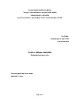 Referāts 'Pozitīvas reklāmas efektivitāte', 1.