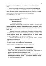 Referāts 'Pozitīvas reklāmas efektivitāte', 5.