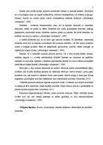 Referāts 'Pozitīvas reklāmas efektivitāte', 7.