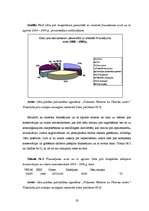 Biznesa plāns 'Cēsu pilsdrupu revitalizācijai nepieciešamā finansējuma piesaistes alternatīvas,', 19.