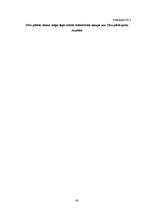 Biznesa plāns 'Cēsu pilsdrupu revitalizācijai nepieciešamā finansējuma piesaistes alternatīvas,', 42.