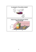 Biznesa plāns 'Cēsu pilsdrupu revitalizācijai nepieciešamā finansējuma piesaistes alternatīvas,', 44.