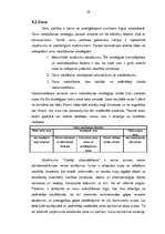 Referāts 'Uzņēmuma SIA "Ozolāji cūkaudzētava" tirgus vides novērtējums', 29.