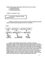 Konspekts 'Abrahama Maslova personības vajadzību teorija', 6.