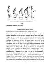 Referāts 'Mūsdienu sabiedrības attieksme pret atšķirīgajām Zemes evolūcijas teorijām', 6.