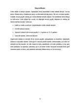 Referāts 'Mūsdienu sabiedrības attieksme pret atšķirīgajām Zemes evolūcijas teorijām', 18.