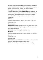 Referāts 'Viss par makšķerēšanu', 18.